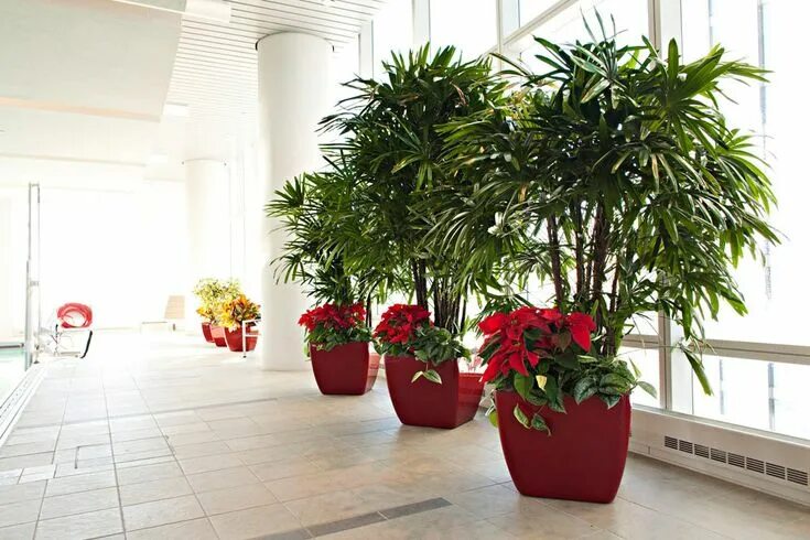 6' Silk Bamboo Palm Tree Air purifying house plants, Artificial plants and trees