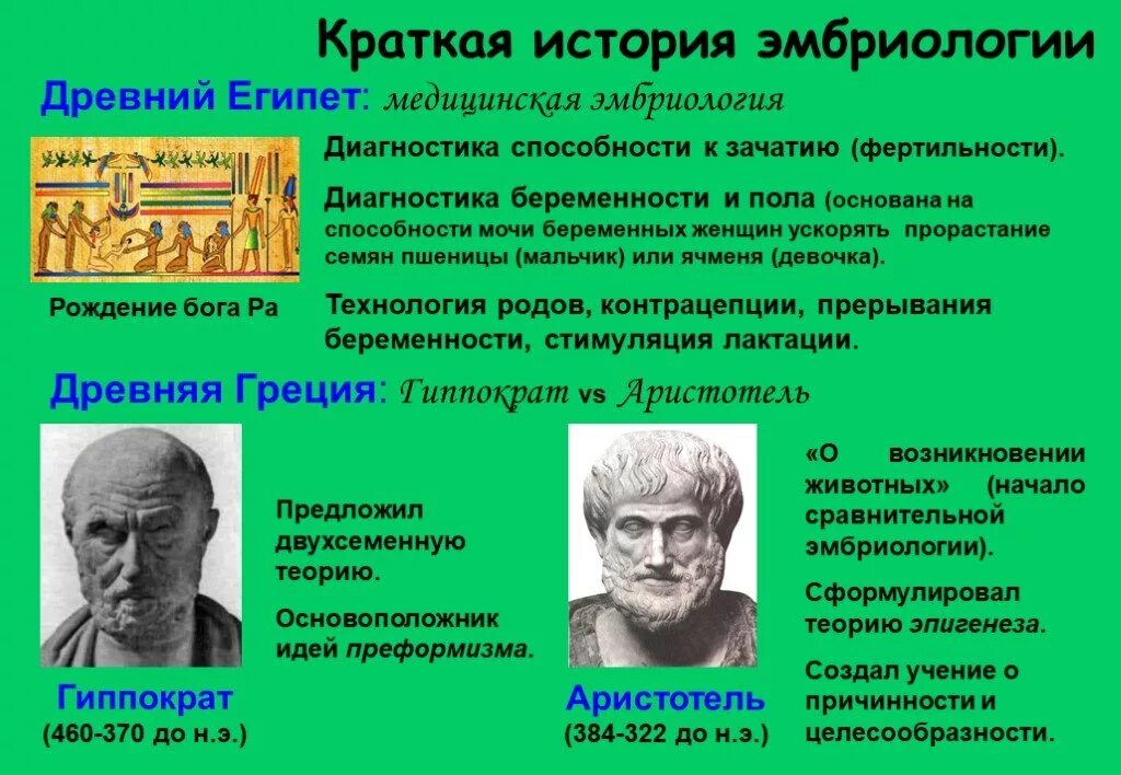 Эмбриология это наука изучающая. Эмбриология это наука изучающая. Объект изучения эмбриологии. Античная эмбриология. Предмет изучения эмбриологии.