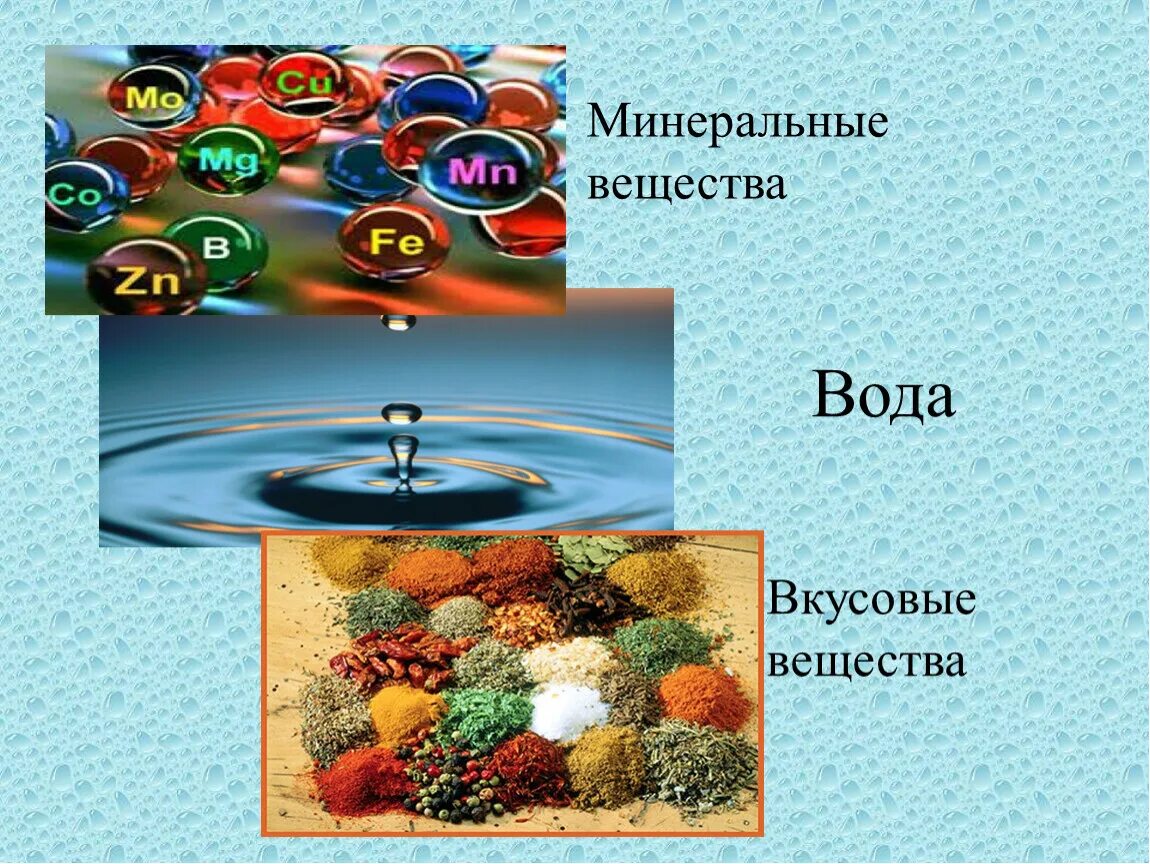 Вода и Минеральные вещества. Mineralnyye weshshestwa. Вкусовые вещества. Минеральные вещества и волы.