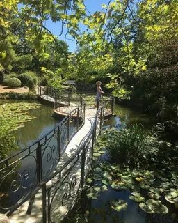 Форосский парк отзывы