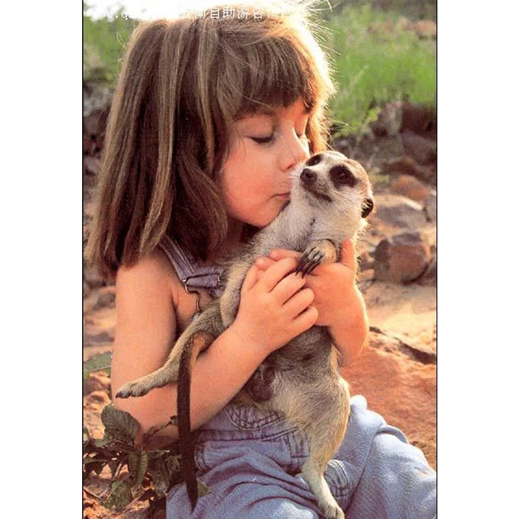 Жизнерадостная типпи. Типпи бенджамин оканти дегре́. Типпи бенджамин оканти. Типпи дегре 2022. Типпи оканти дегре.