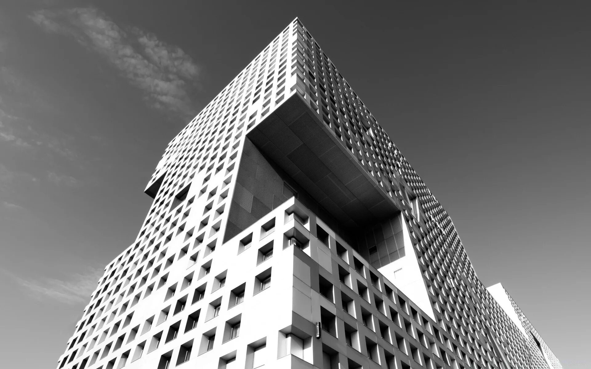 Building org