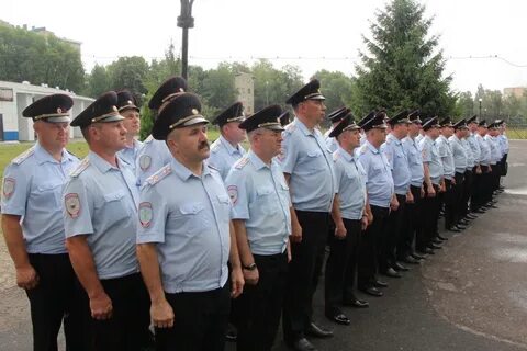 Деятельность умвд
