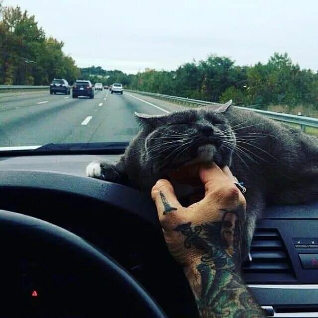 И непривычно как то