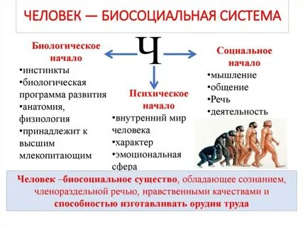 Проявление социальной природы человека это