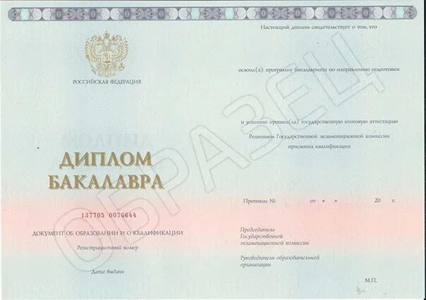 Номер и дата диплома: найдено 78 изображений