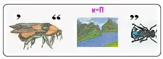 Ребус крокодил. Ребус черепаха. ребус пресмыкающиеся. ребусы по пресмыкающимся. ребус на слово черепаха.