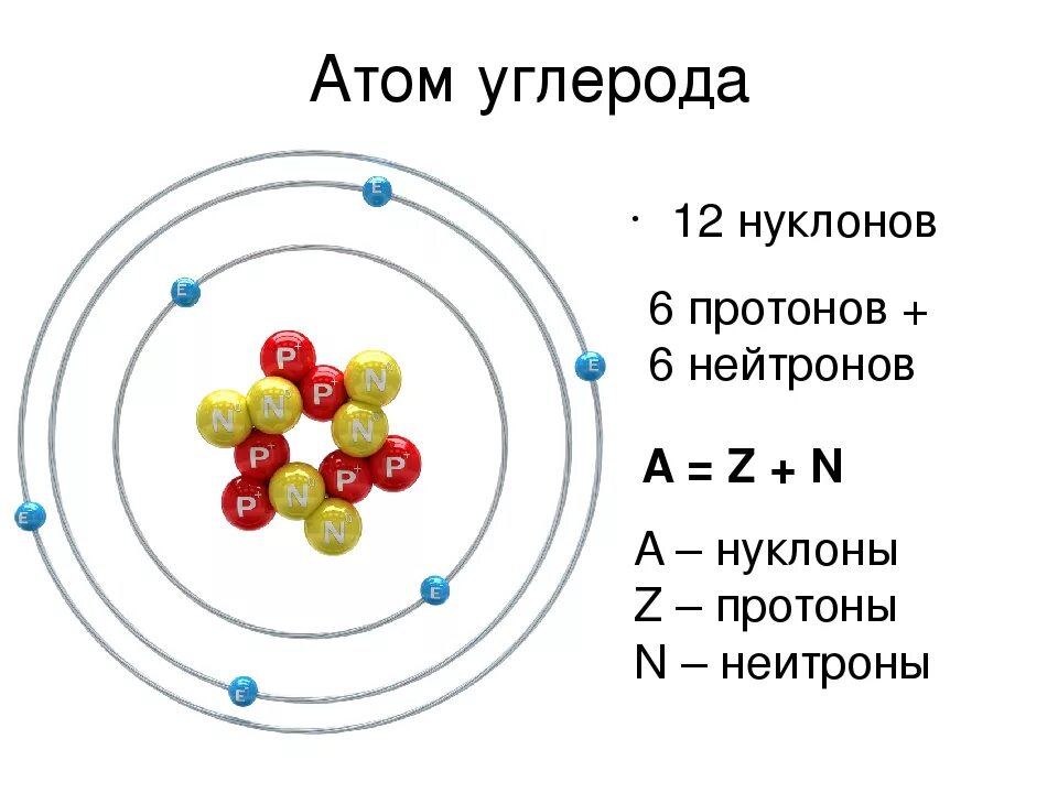 Два нейтрона в ядре содержат атомы. Атом ядро электроны схема. Строение ядра углерода схема. Модель строения атома углерода. Состав атома углерода.