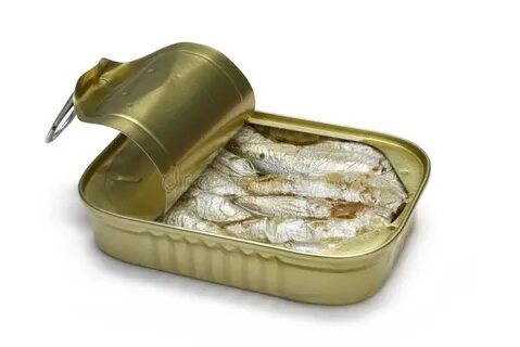 A tin of fish