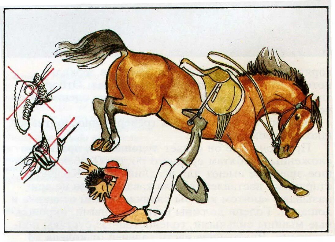 Гонит всадник коня держится за поводья смотрит. Техника безопасности конный спорт. Техника безопасности при верховой езде. Техника безопасности с лошадью. Техника безопасности на конюшне.