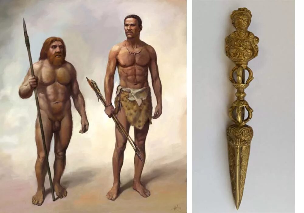 Неандерталец хомосапиянс. Денисовцы неандертальцы и хомо сапиенс. Человек разумный неандерталец и кроманьонец. Битва за европу: неандерталец vs. Хомо сапиенс денисовский человек неандерталец.