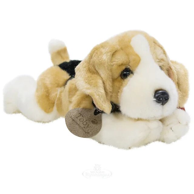 Игрушка собачка лежит. Keel toys собака. мягкая игрушка aurora бигль. игрушка keel toys мягкая собачка. щенок keel toys 25 см.