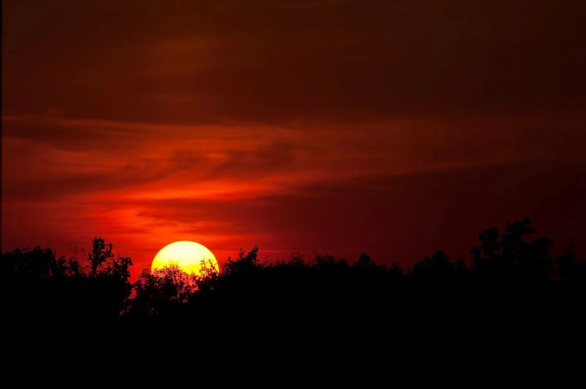 Закат был ал. Алый закат. Закат был ал. Алый закат. Алый закат.