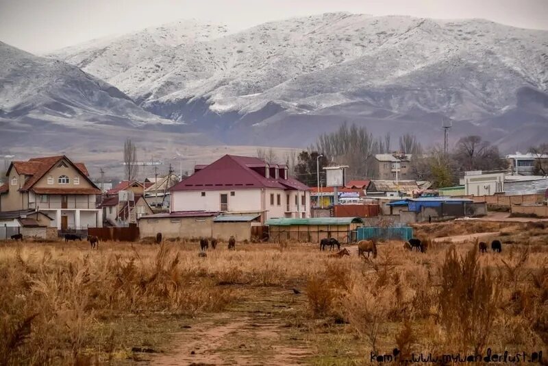 Поселки киргизии. Аул в Киргизии. Поселок Тюп Киргизия. Кыргызстан деревня. Арчалы Киргизия село.