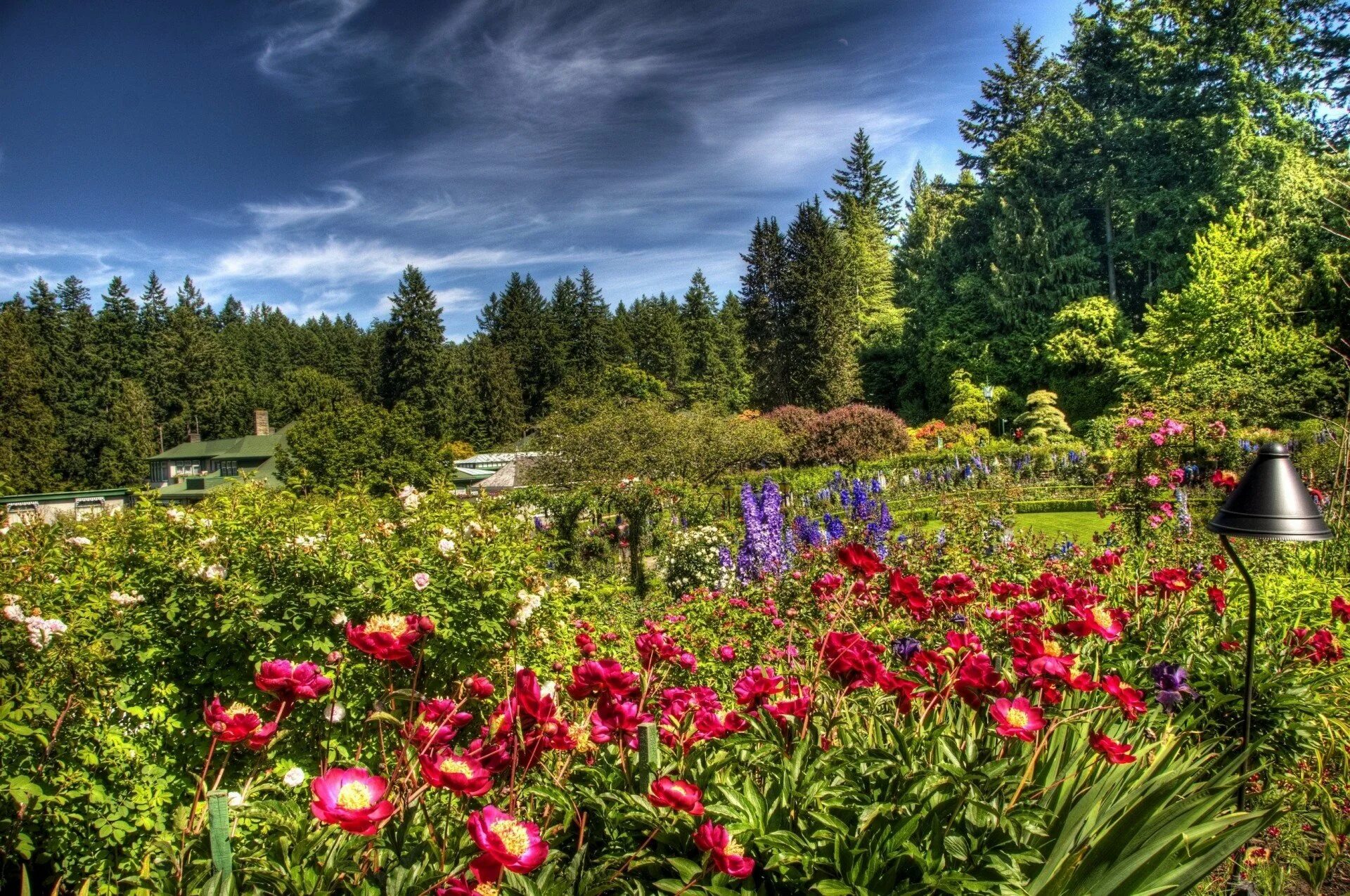 Butchart Gardens, Канада розарий. Сады Бутчартов в Канаде розарий. Яркие цветочные сады Бутчартов в Канаде. Много цветов в природе