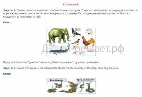 Укажите варианты ответов питомцы уступают