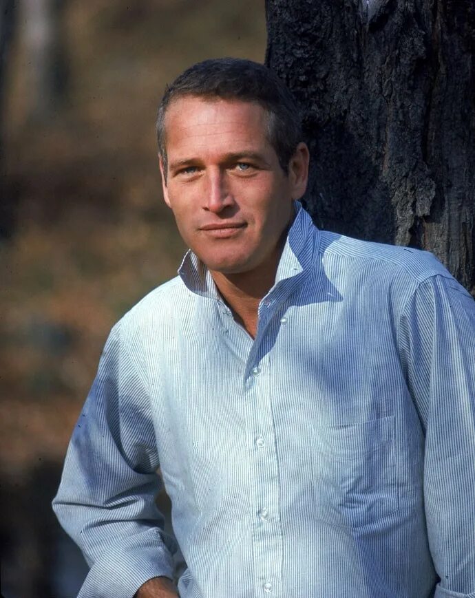 35 лет взрослый мужчина. Paul Newman. Красивый мужчина средних лет. Красивый мужчина 40.
