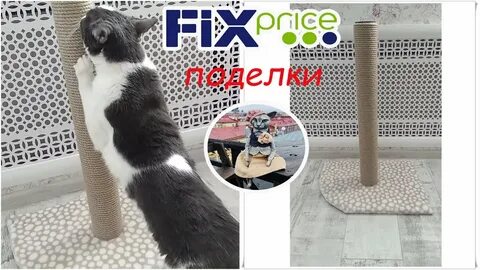 Кошка фикс