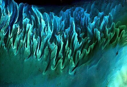 Язык ocean
