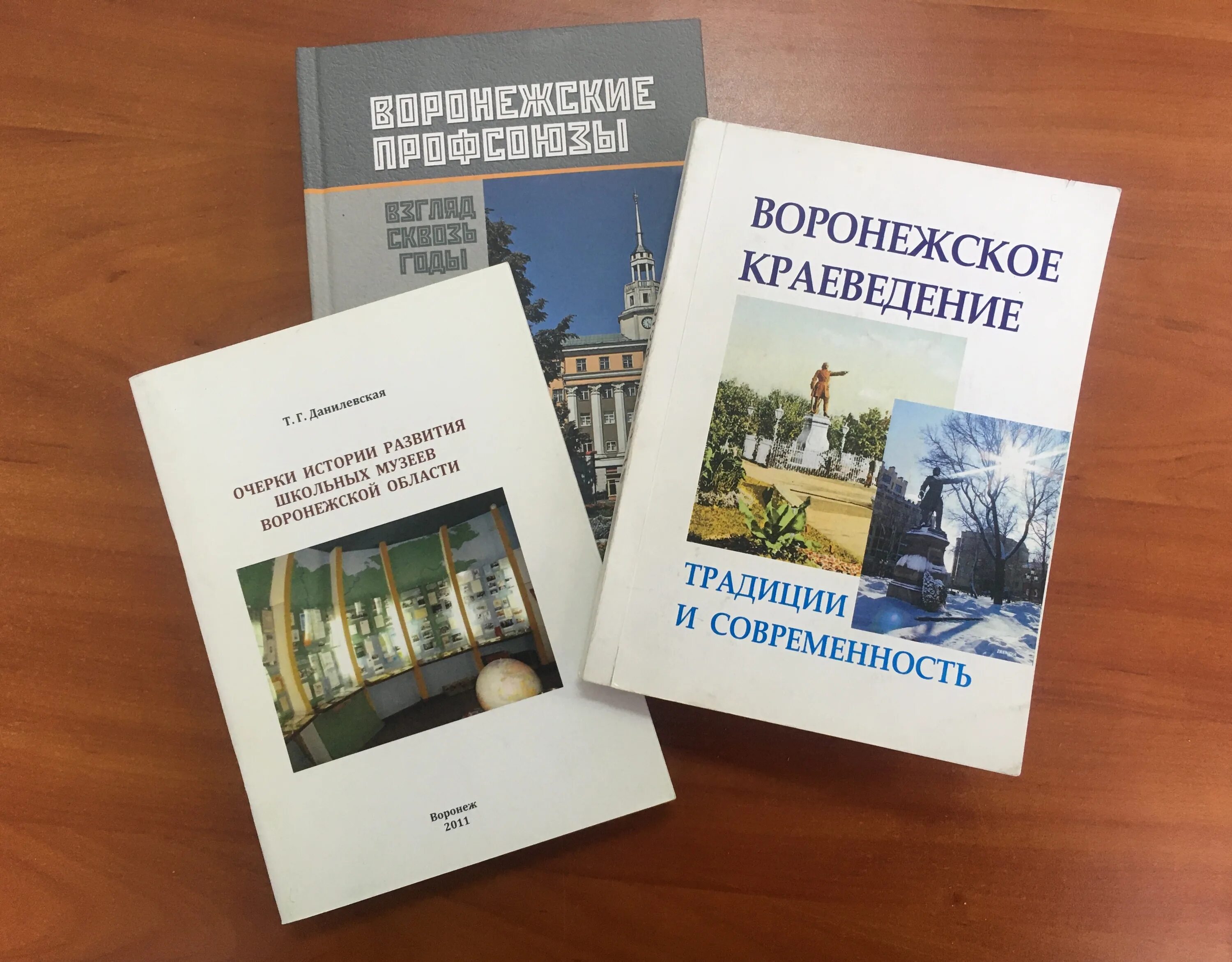 Воронежский справочник. Историки Воронежа краеведческие. Книги про создание Воронежа.