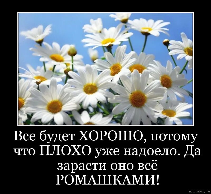 Картинка вме будетхорошо. Открытка все хорошо. Открытка всёбкдет хорошо. Прикольная открытка все будет хорошо. Проверка все будет хорошо.