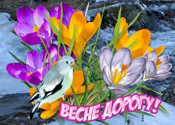Приветствую весну