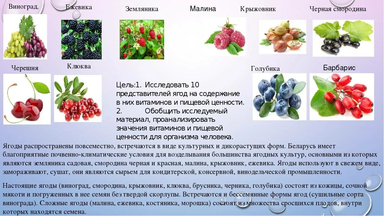 Полезные ягоды. Ягоды с названиями для детей. Ягода представители. Лечебные ягоды названия.