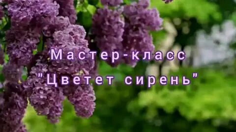 Минус песни сирень
