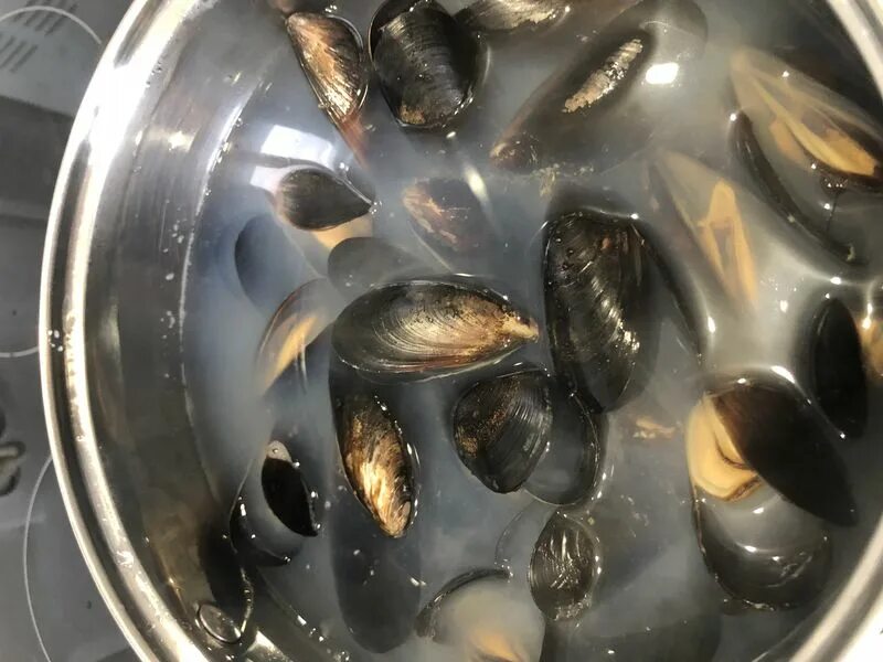 Мидии новорожденных. В упаковке с мидиями попался шарик. Как разморозить мидии. Мидии в ракушках замороженные. Мидии в масле.