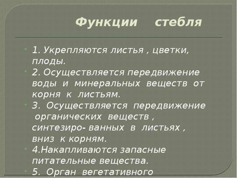 Функции стебля. Основные функции стебля. Функции стебля 6 класс. Цветоножка функция. Функции стебля ответ