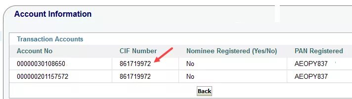 Cif код в банке что. Union access. Paypal email что это. The program has been terminated. The account has registered.
