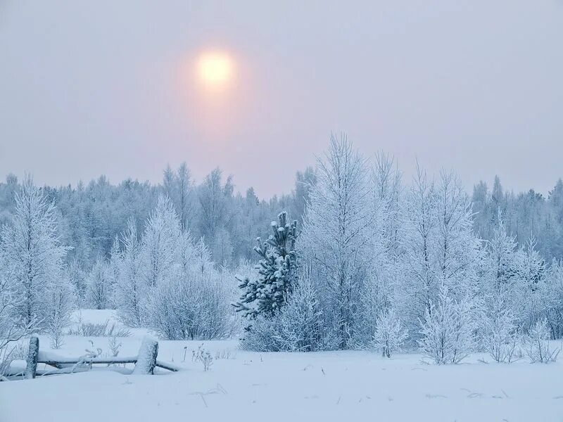 Снег и солнце. Снег блестит на солнце. Зимнее солнце. Солнце светит зимой. Устланы снегом.