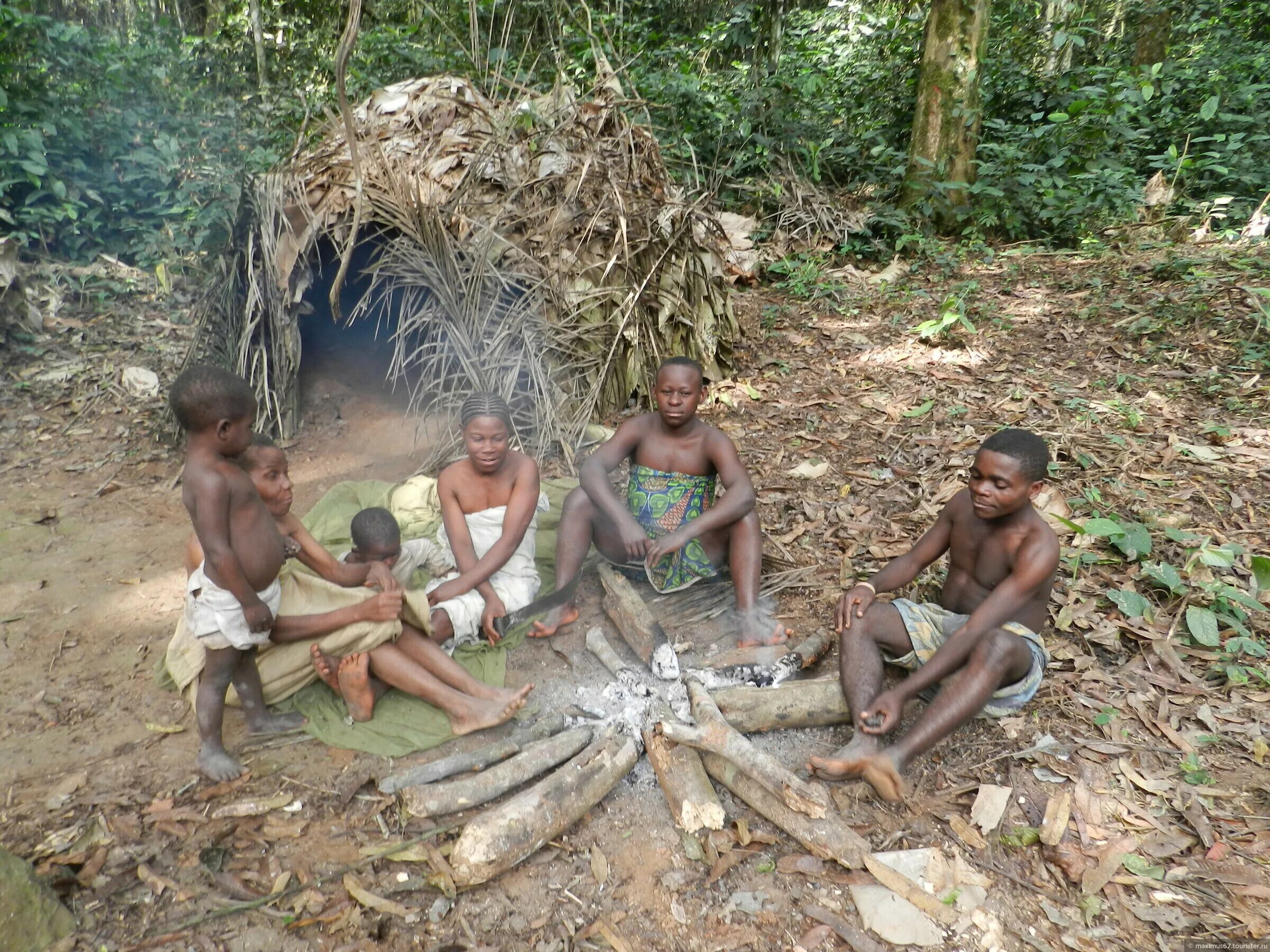 пигмеи конго. пигмеи народ африки охота. пигмеи народ африки. пигмеи африки. пигмеи народ африки рост.