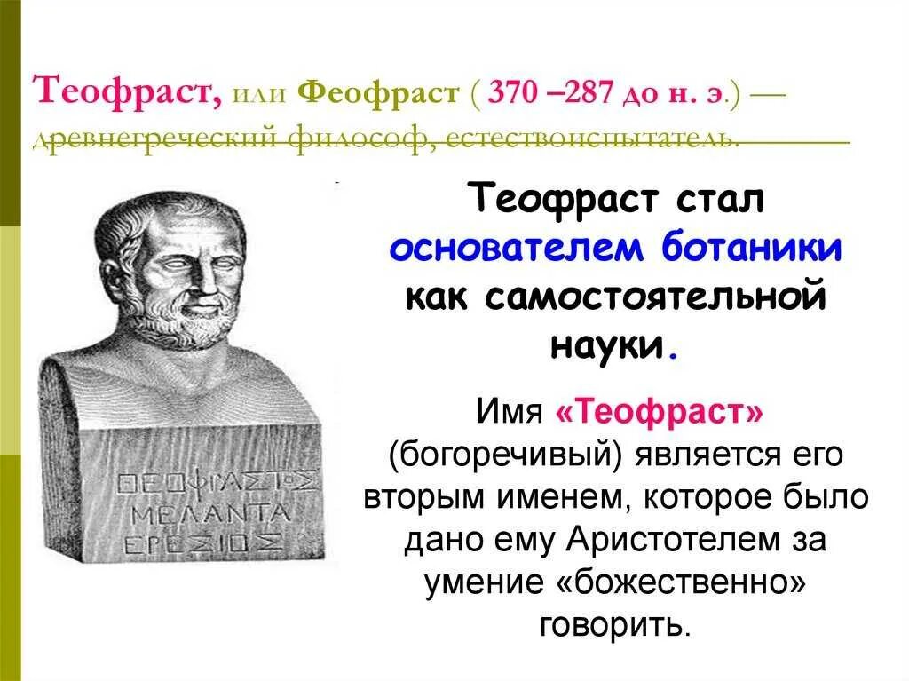 Основатель ботаники. Гиппократ аристотель теофраст. теофраст (372-287 гг. до н. э.). аристотель и теофраст в биологии. теофраст основатель науки ботаники.