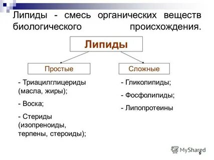 Какие органические вещества относятся к липидам примеры