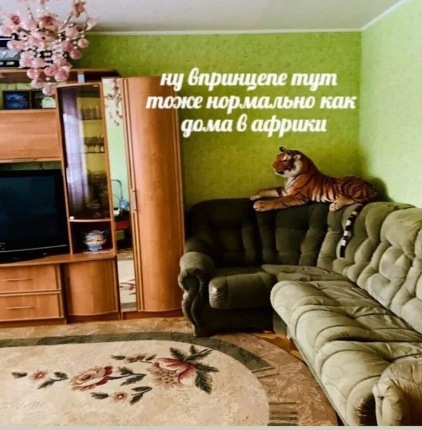 Подслушано Клинцы. Всратые квартиры. 10 Выходных