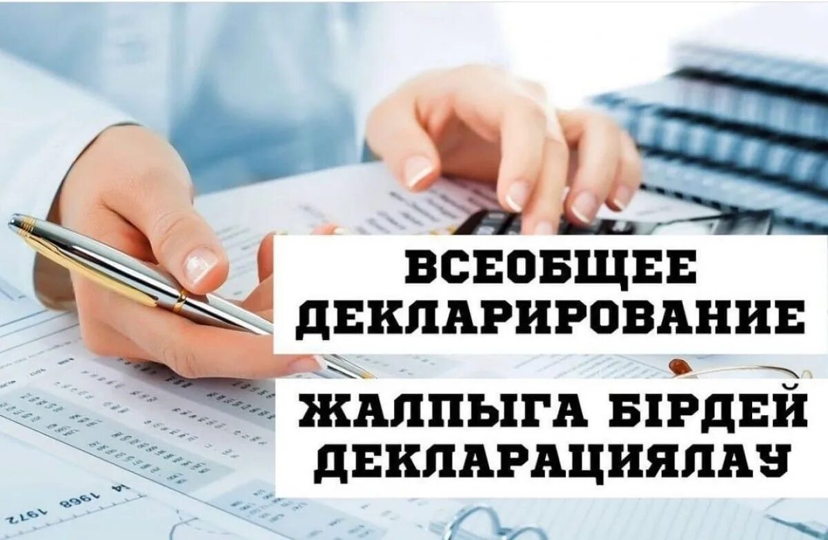 Всеобщее декларирование. Всеобщее декларирование в Казахстане. Декларирование доходов. Всеобщее декларирование в Казахстане 2024. Декларирование в казахстане