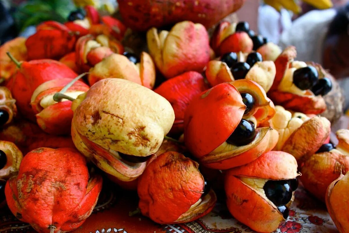 Какие фрукты есть в марте. Фрукт Ackee Ямайка. Экзотические фрукты и овощи. Необычные экзотические фрукты. Экзотические фрукты и орехи.