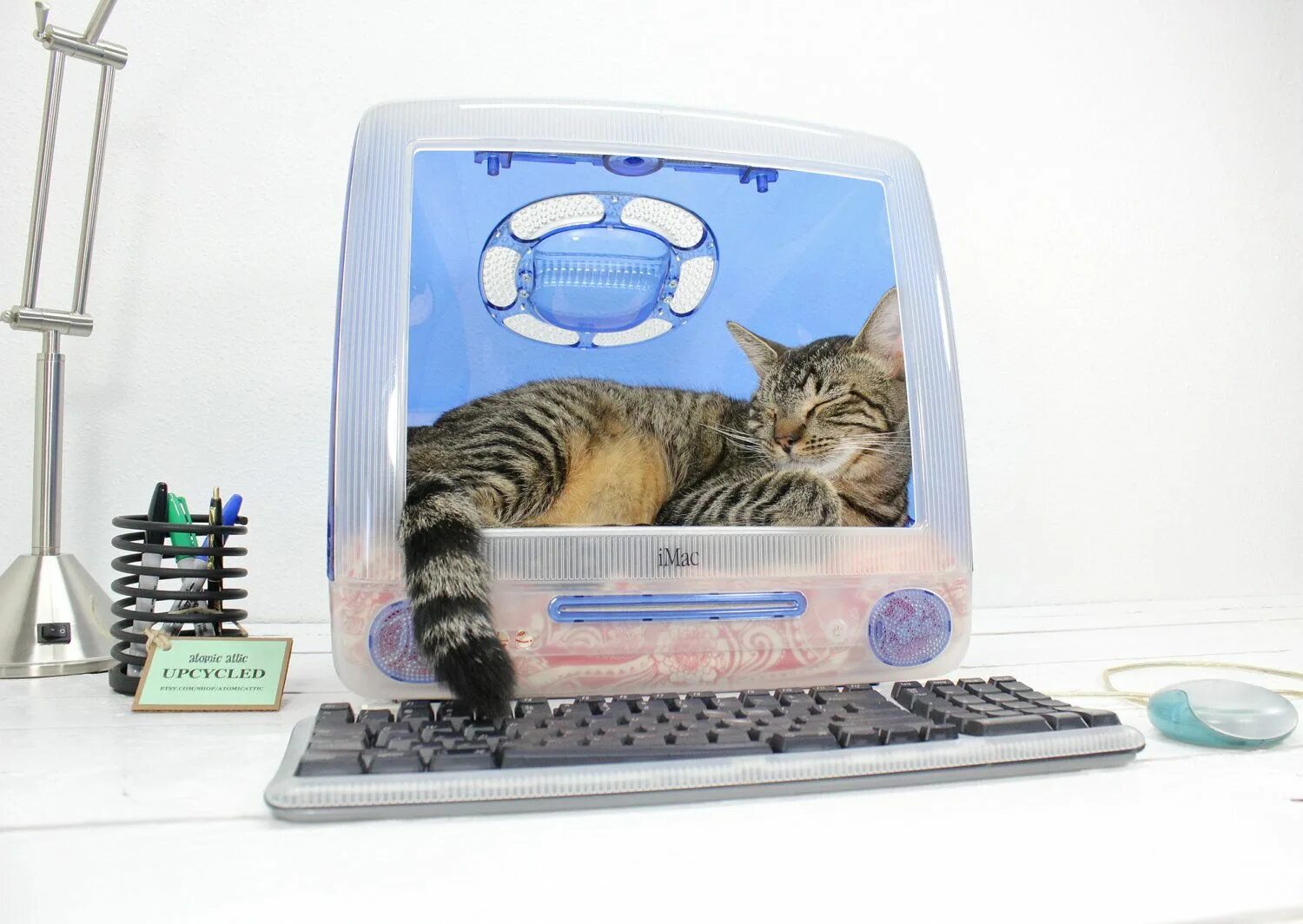 Компьютер pet. Котик с компьютером. Компьютер в домике для кошки. Кошка и компьютер. Домик из монитора.
