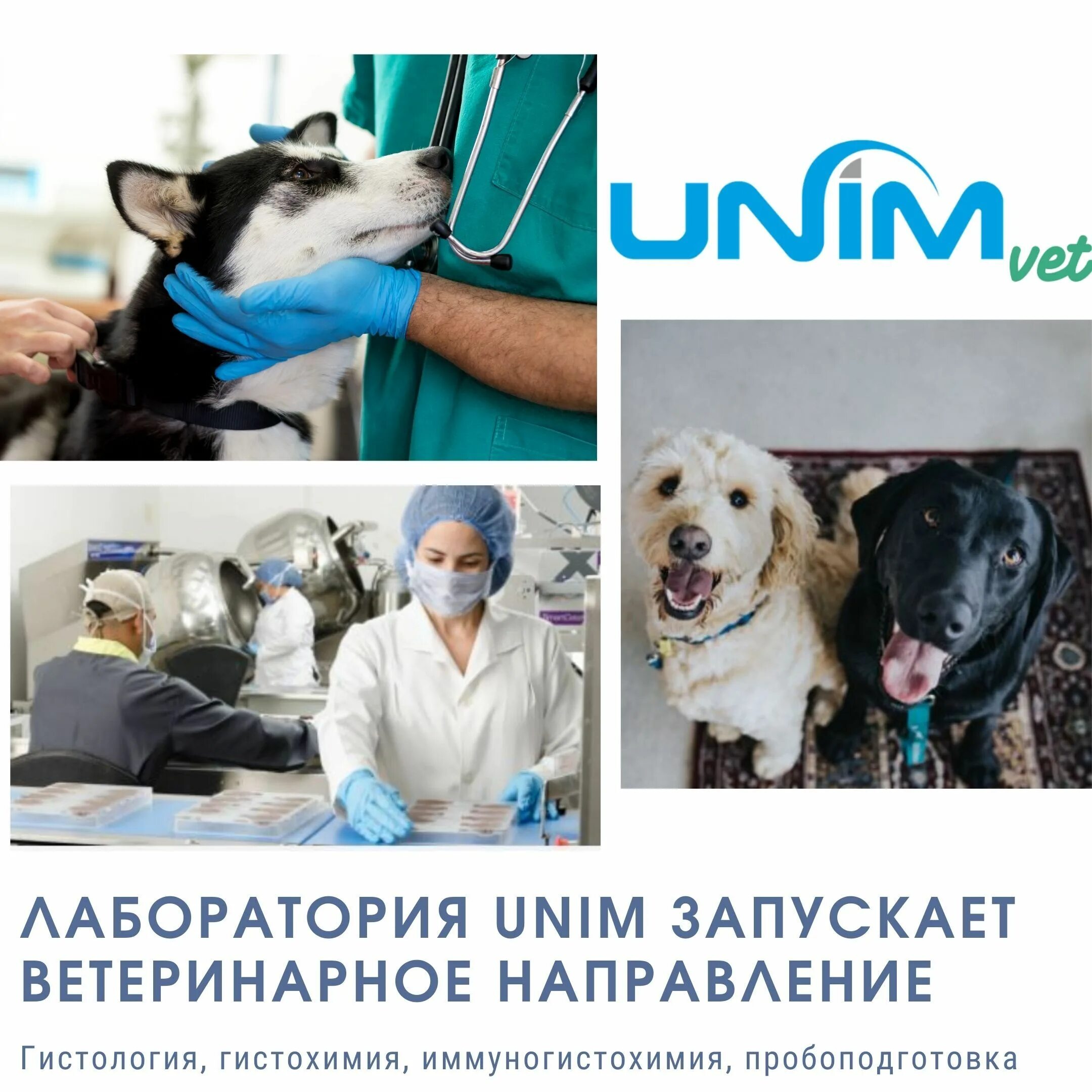 Ветеринарная гистология