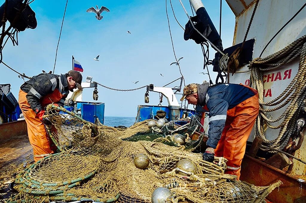 Добыча рыбы. Промысел рыбы. Морское рыболовство. Рыболовная промышленность.