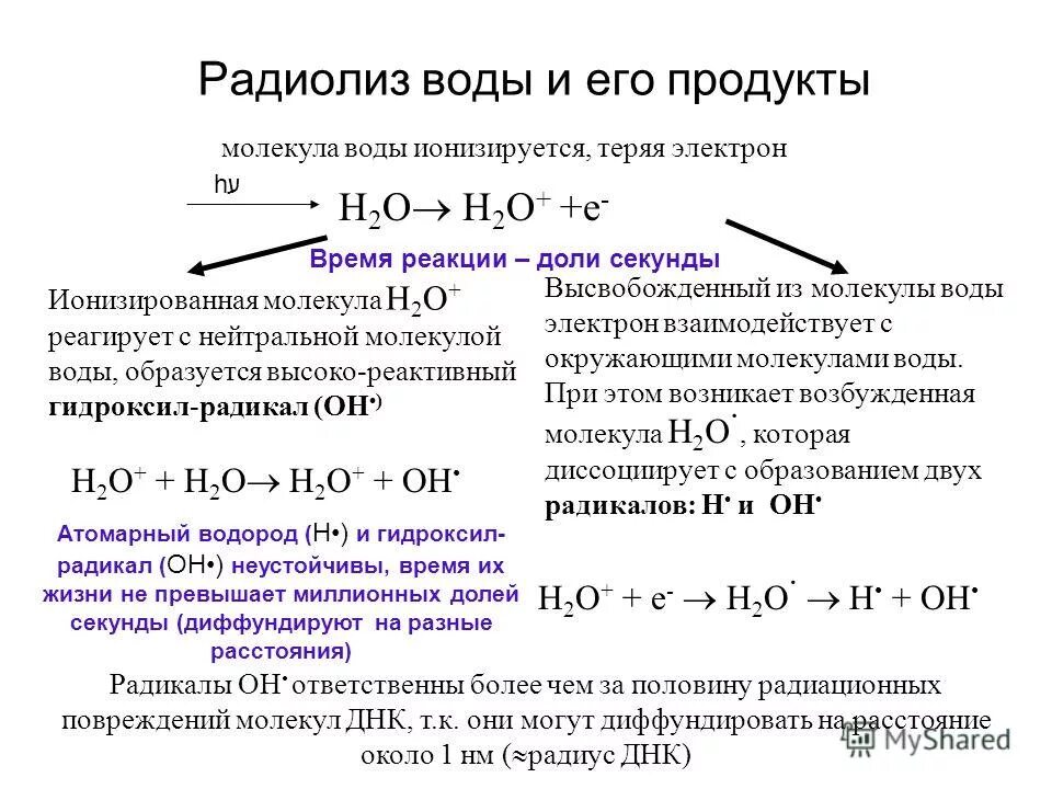 радиолиз воды реакция. радиологический радиолиз воды. радиолиз воды реакция. гидратированный электрон. радиолиз.