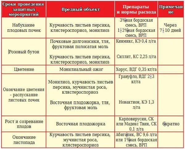 Весенняя обработка персика