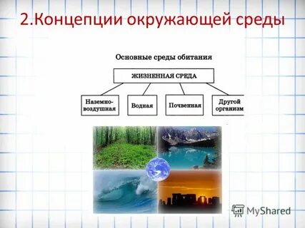 Концепция окружающей среды