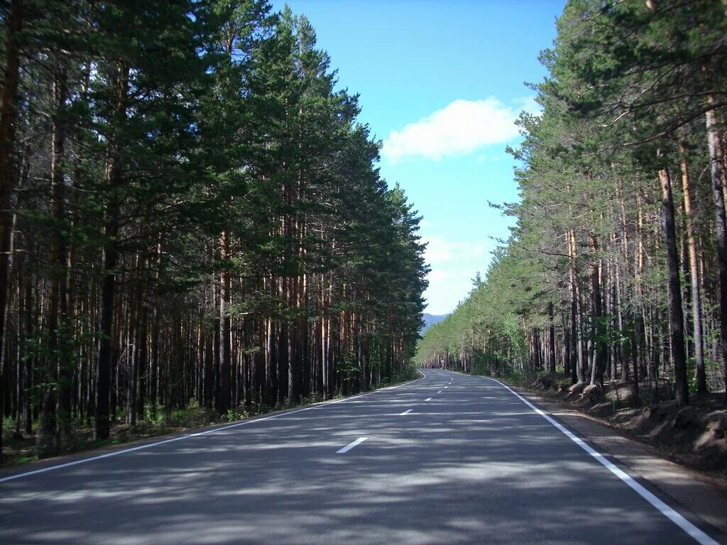 сосновый бор в боровом казахстан. просека в лесу. бурабай лес. боровое казахстан леса. боровой лес.