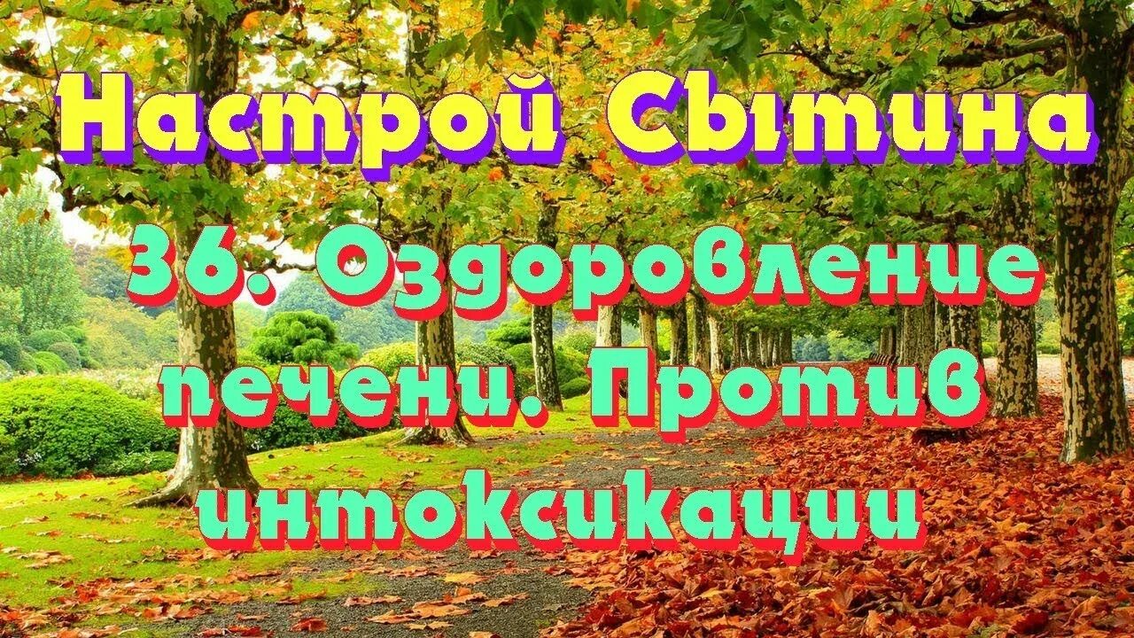Оздоровление печени сытин. Лекарства от полипов в желчном пузыре. Система оздоровления сытина. Сытин печень. Настрой сытина светлая радость.