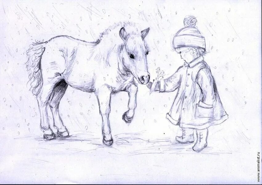 Лошадь рисунок. Рисунки карандашом. Зарисовки лошадей карандашом. Рисунки лошадей для срисовки. Рисунки ках