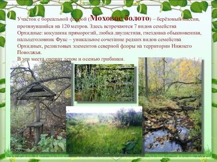 Болото ударение