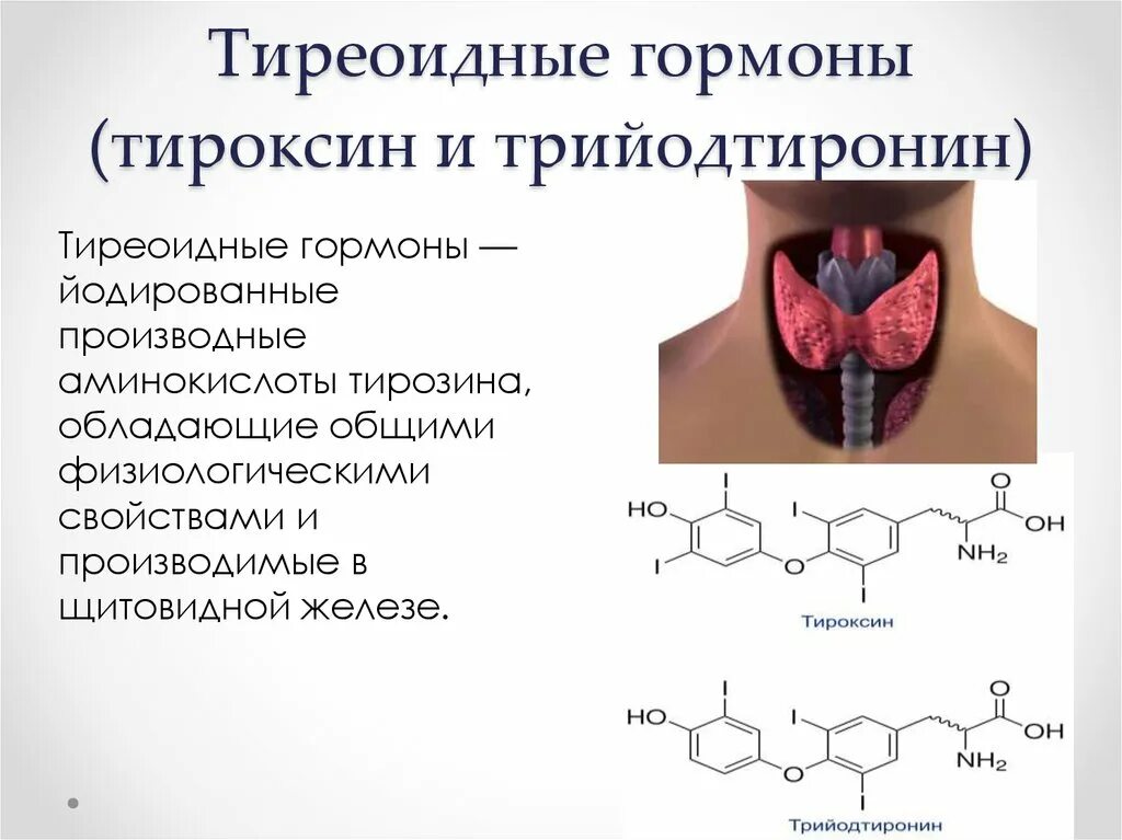 Тироксин гормон щитовидной железы. Гормоны щитовидной железы трийодтиронин. Гормоны тироксин и трийодтиронин. Тиреоидные гормоны (т3, т4) химическая структура.