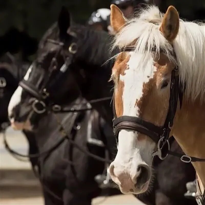 Mounted unit